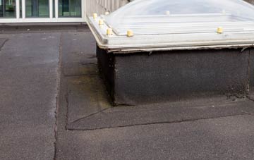 disadvantages of Nant Y Ffin flat roofs