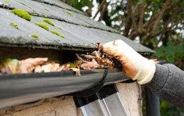 gutter cleaning Nant Y Ffin, Carmarthenshire